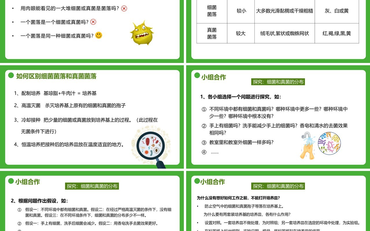 部编版八年级生物上册细菌和真菌的分布PPT模板