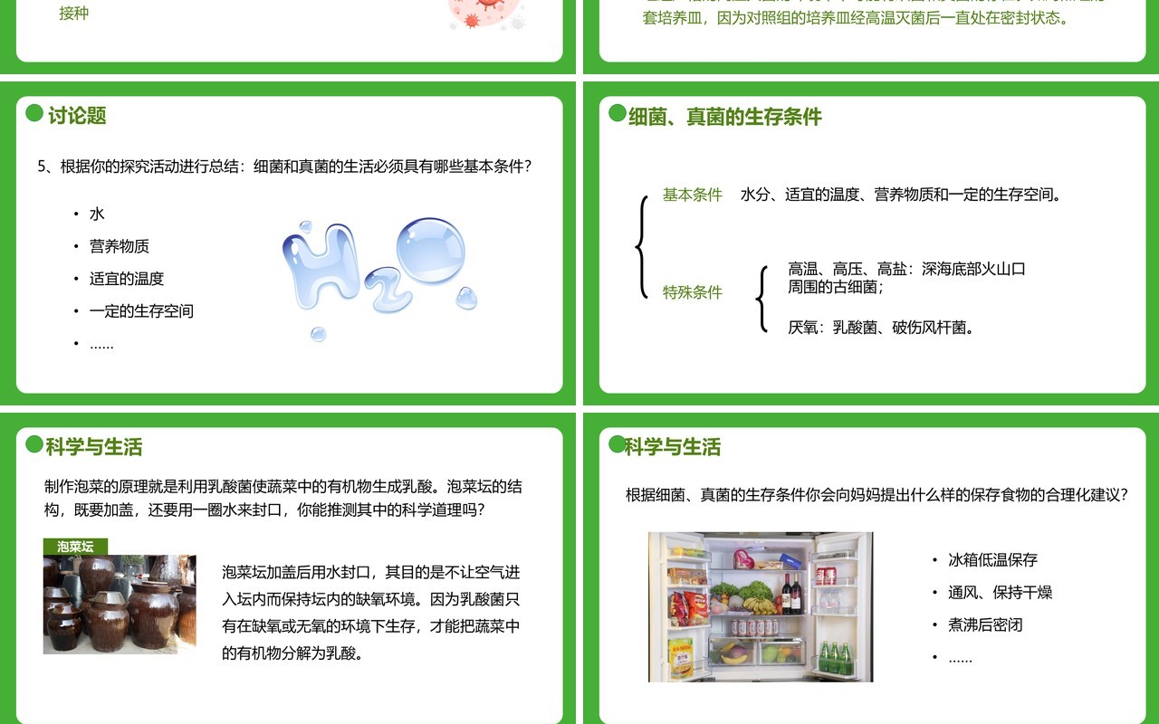 部编版八年级生物上册细菌和真菌的分布PPT模板