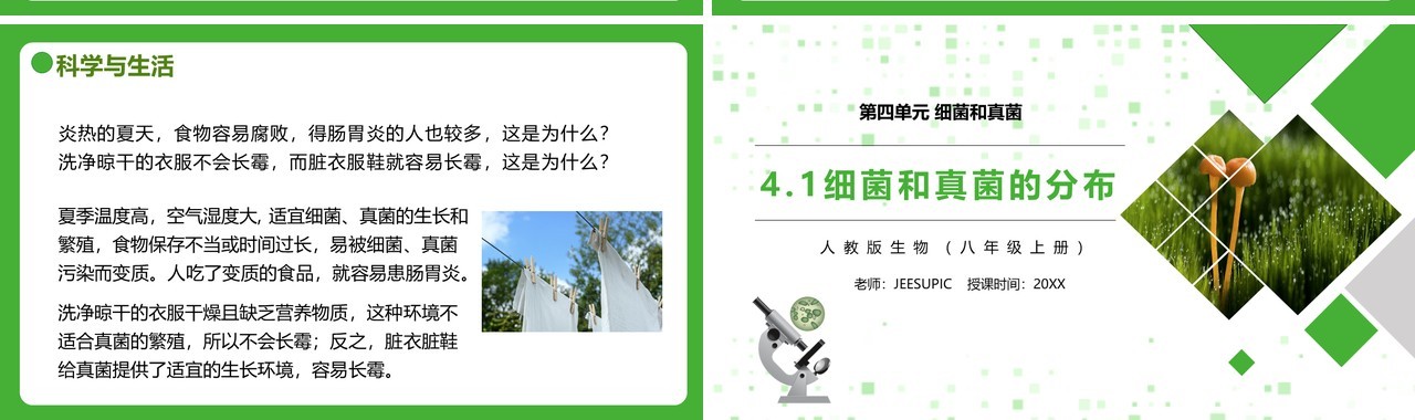部编版八年级生物上册细菌和真菌的分布PPT模板