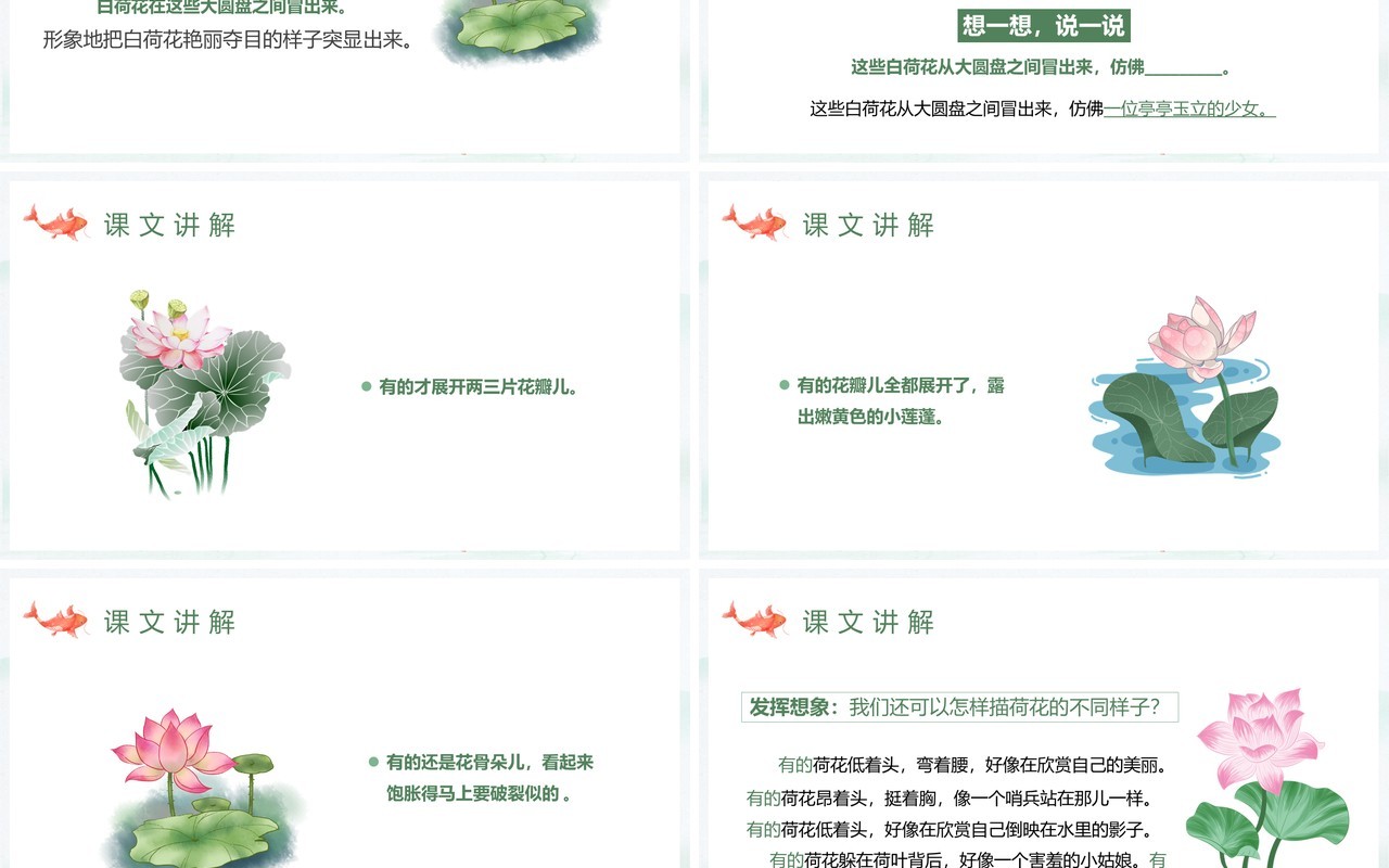 部编版三年级语文下册荷花课件PPT模板