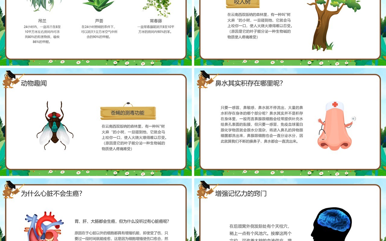 绿色卡通风趣味科普小讲堂PPT模板