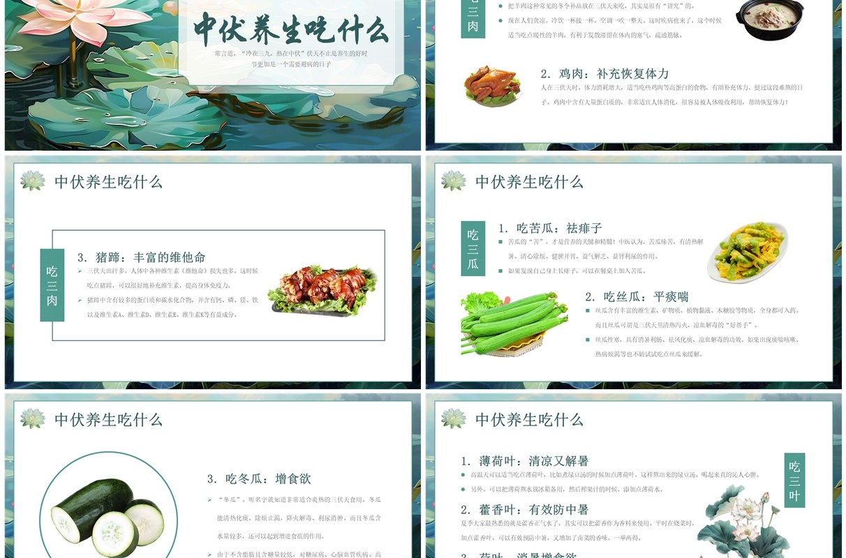 绿色插画风中伏养生介绍PPT模板