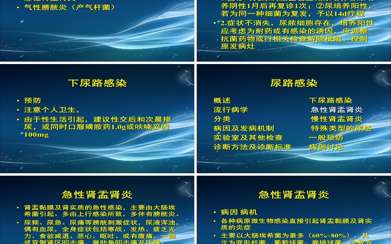 简约泌尿系尿路感染护理查房PPT模板