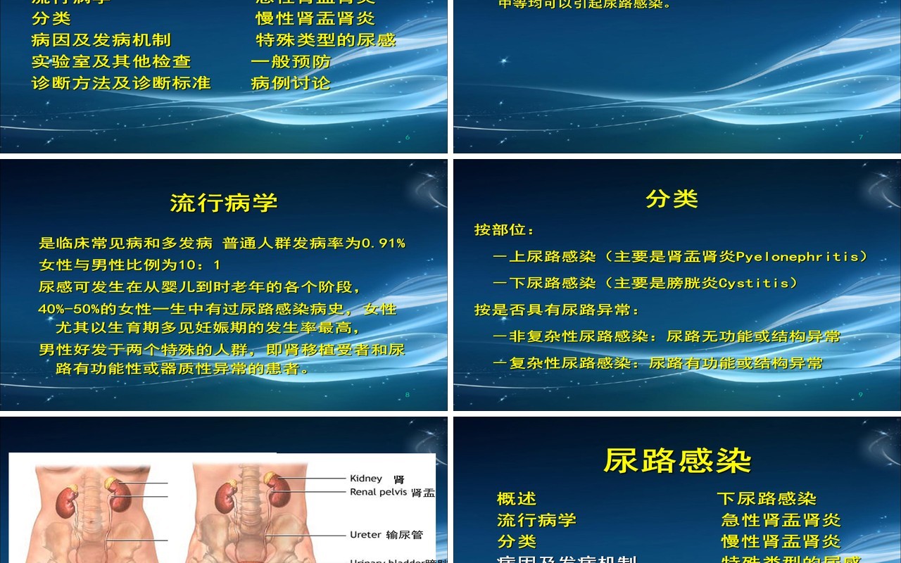 简约泌尿系尿路感染护理查房PPT模板