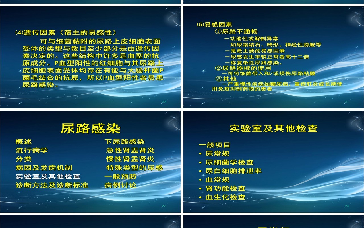 简约泌尿系尿路感染护理查房PPT模板