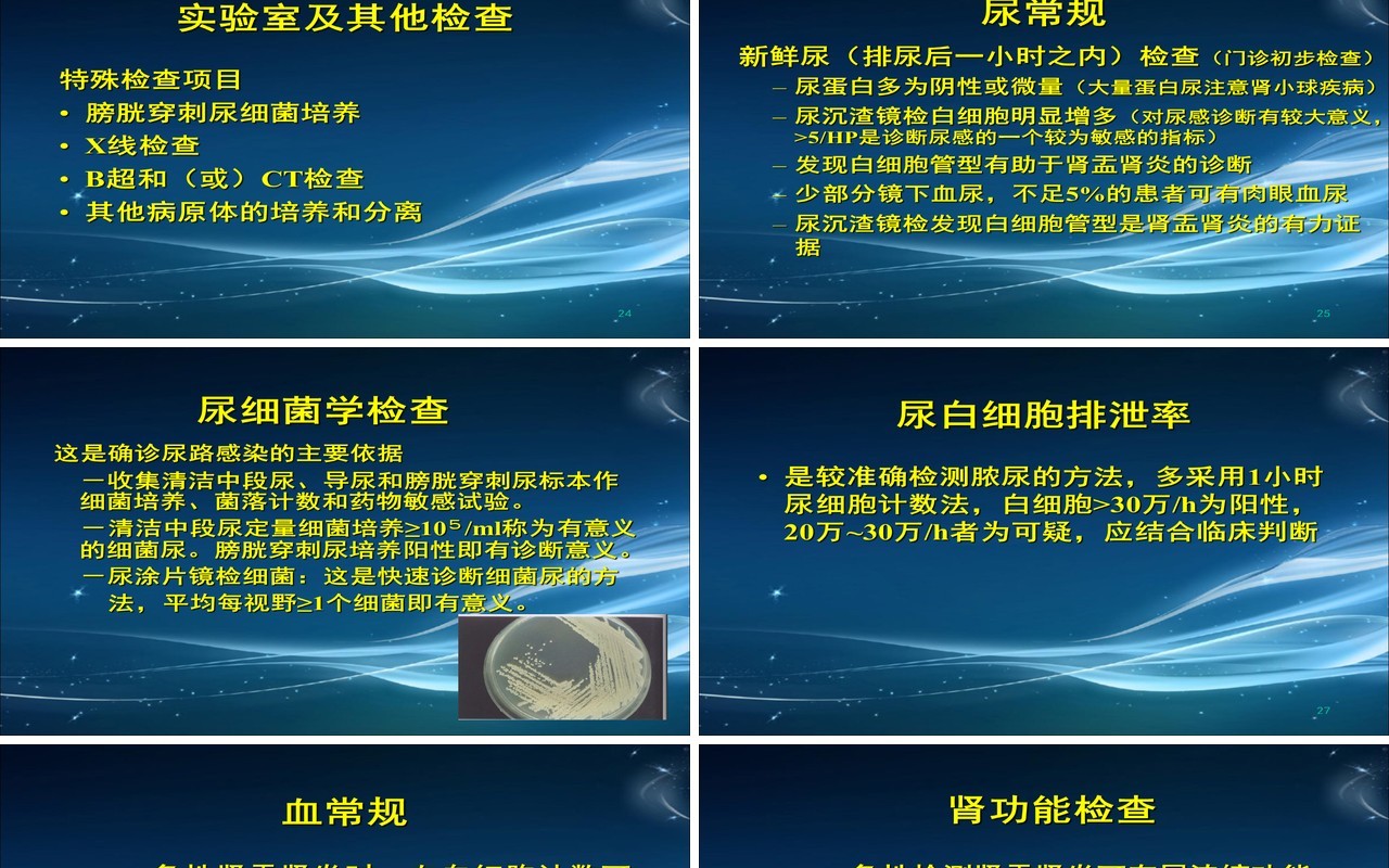 简约泌尿系尿路感染护理查房PPT模板