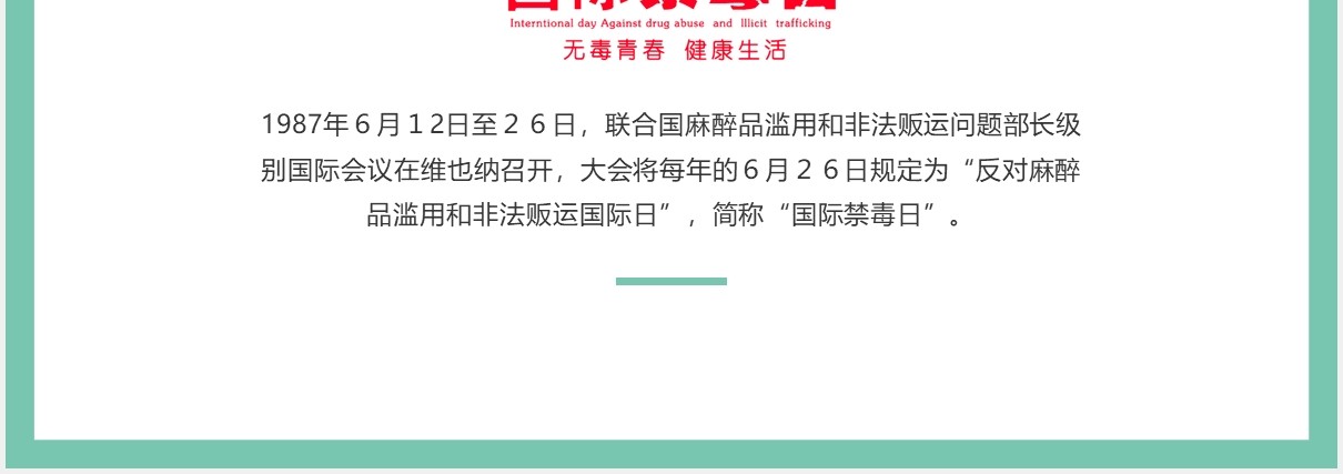 清新禁毒宣传教育PPT模板
