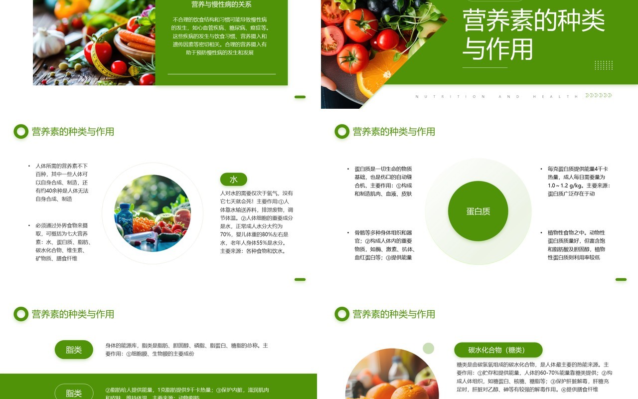 绿色简约风营养与健康生活的基石PPT模板