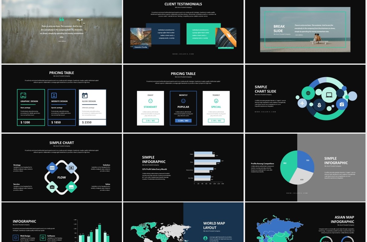 深色商务公司简介业务介绍PPT模板Colaris-Minimal Business Profile Powerpoint