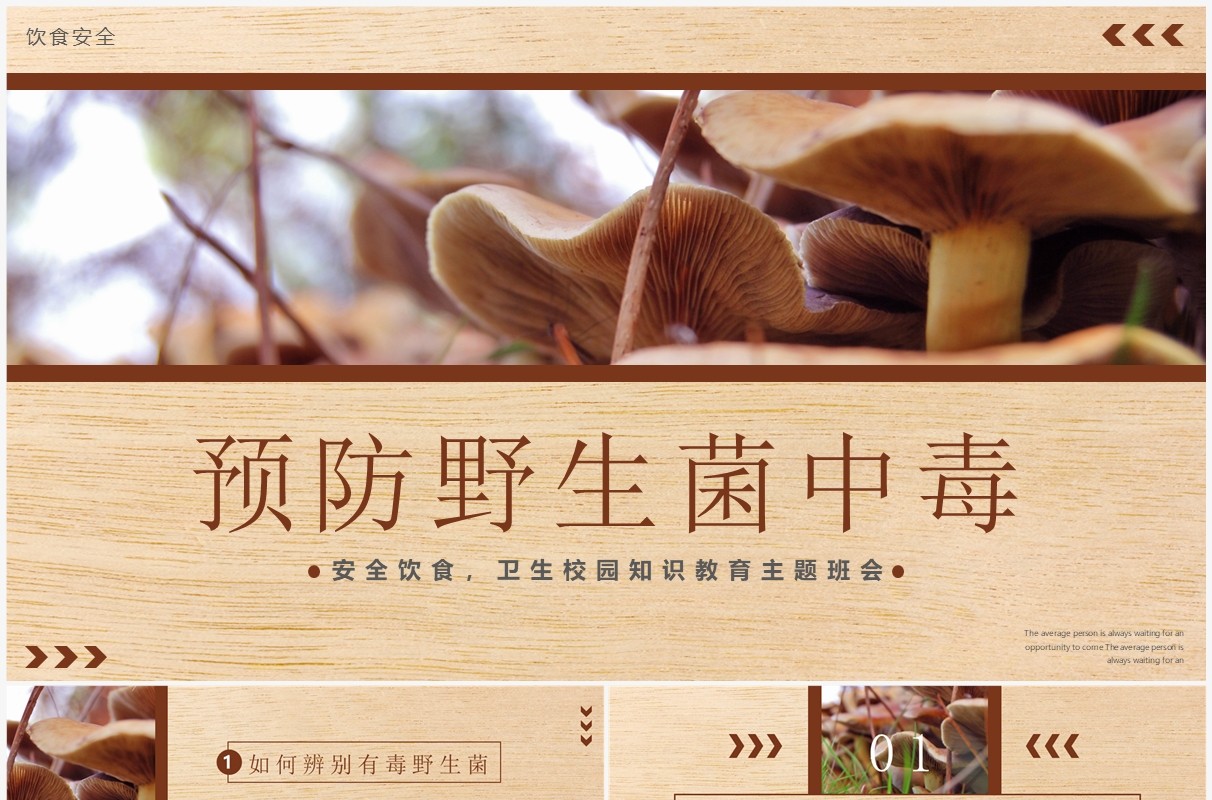棕色简约风预防野生菌中毒教育PT模板