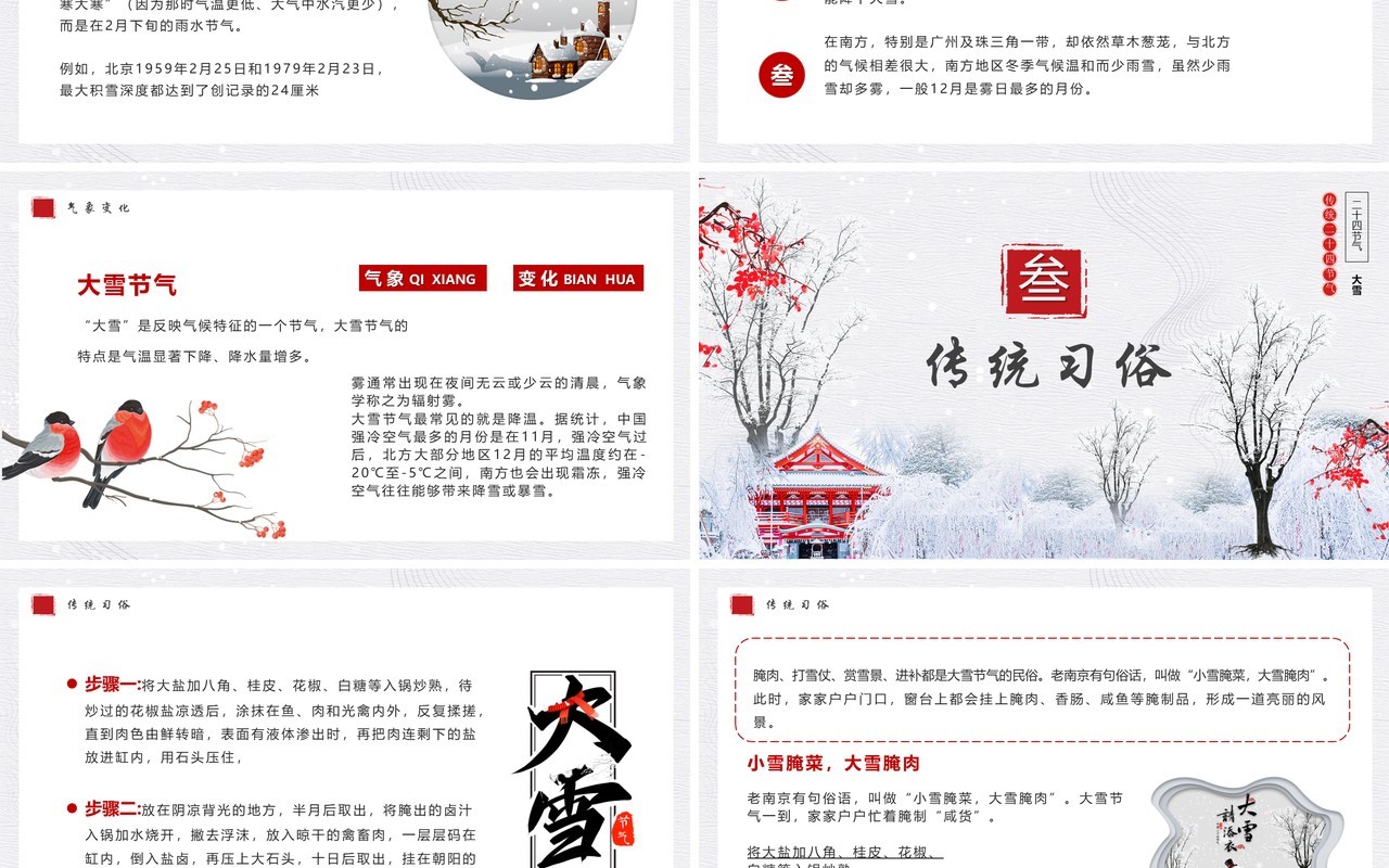 淡雅中国风传统二十四节气之大雪PPT模板