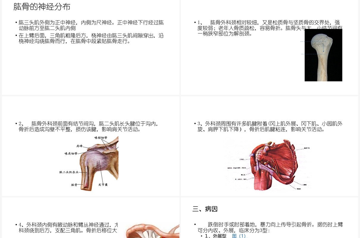 蓝色肱骨外科颈骨折PPT模板