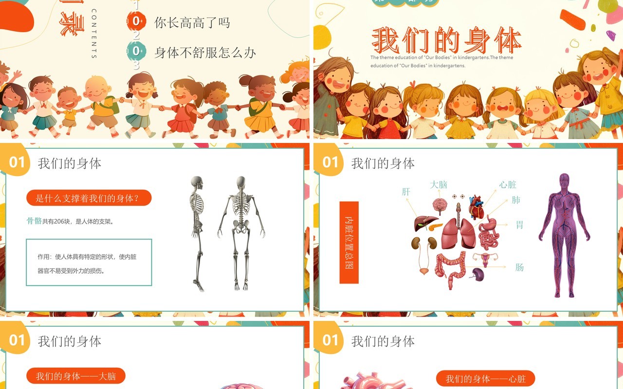 橙色卡通风介绍我们的身体幼儿园主题课件PPT模板