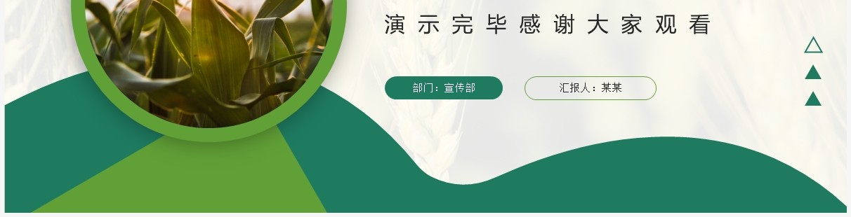 绿色商务风特色产品项目计划书PPT模板