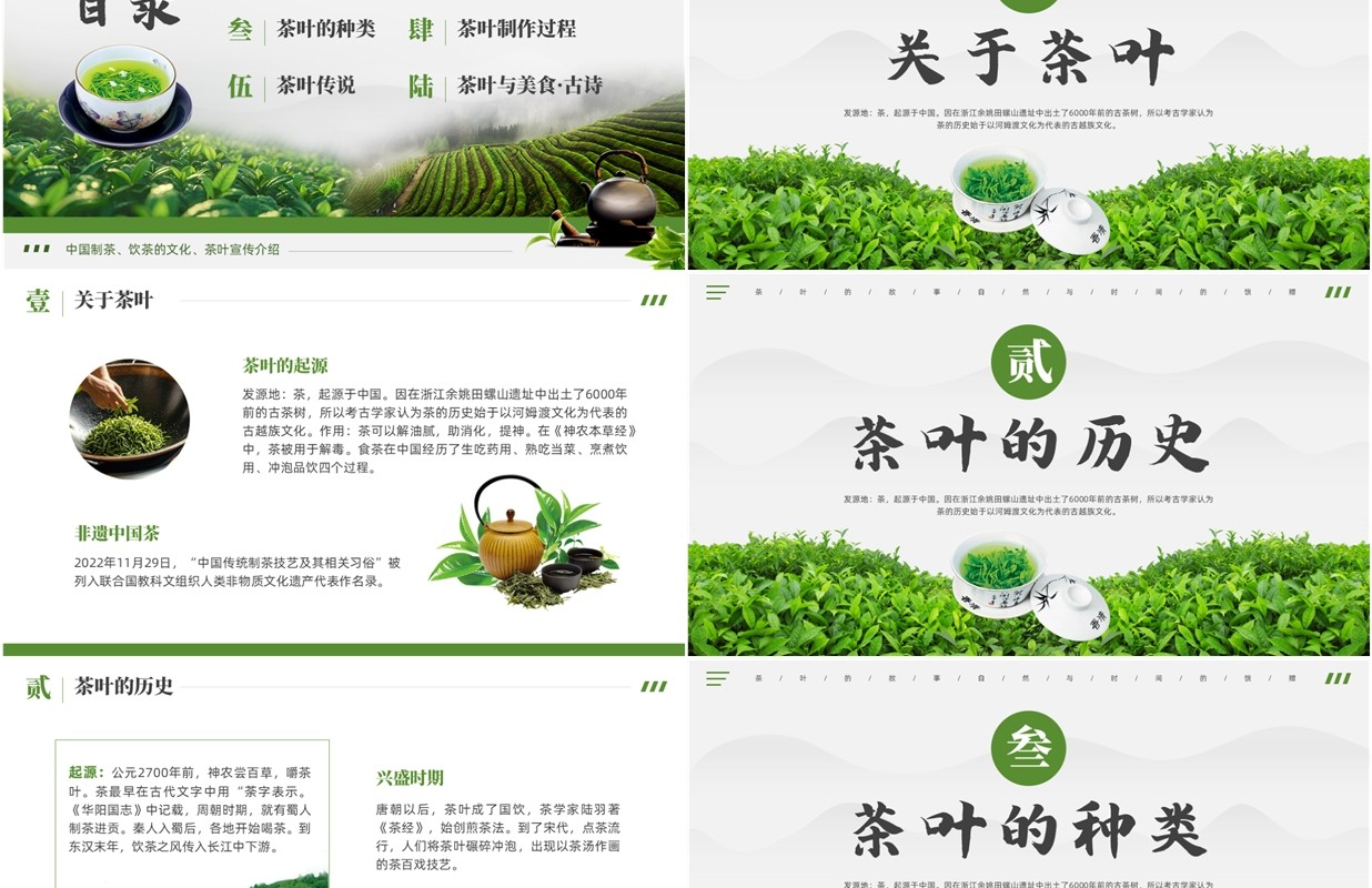 绿色清新风中国传统茶文化介绍PPT模版