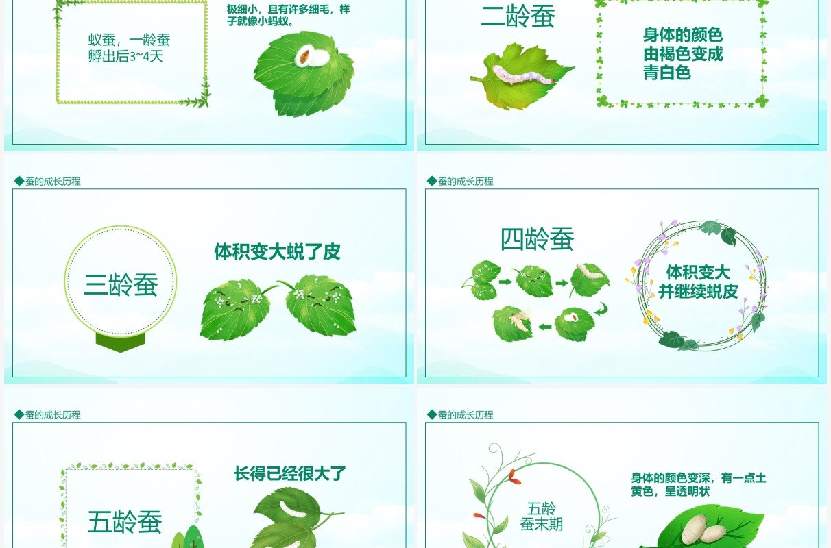 蚕的成长历程动态PPT模板