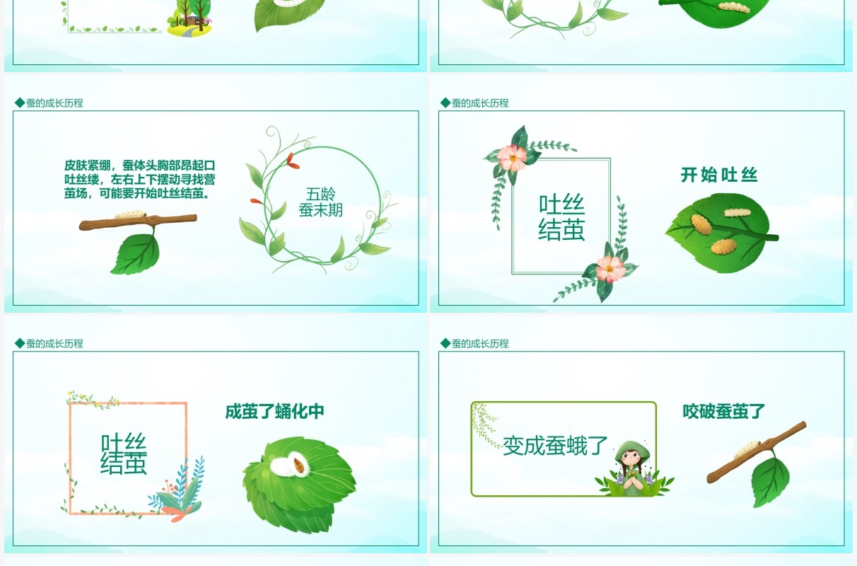 蚕的成长历程动态PPT模板