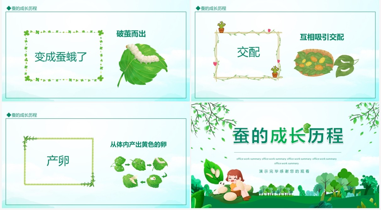 蚕的成长历程动态PPT模板