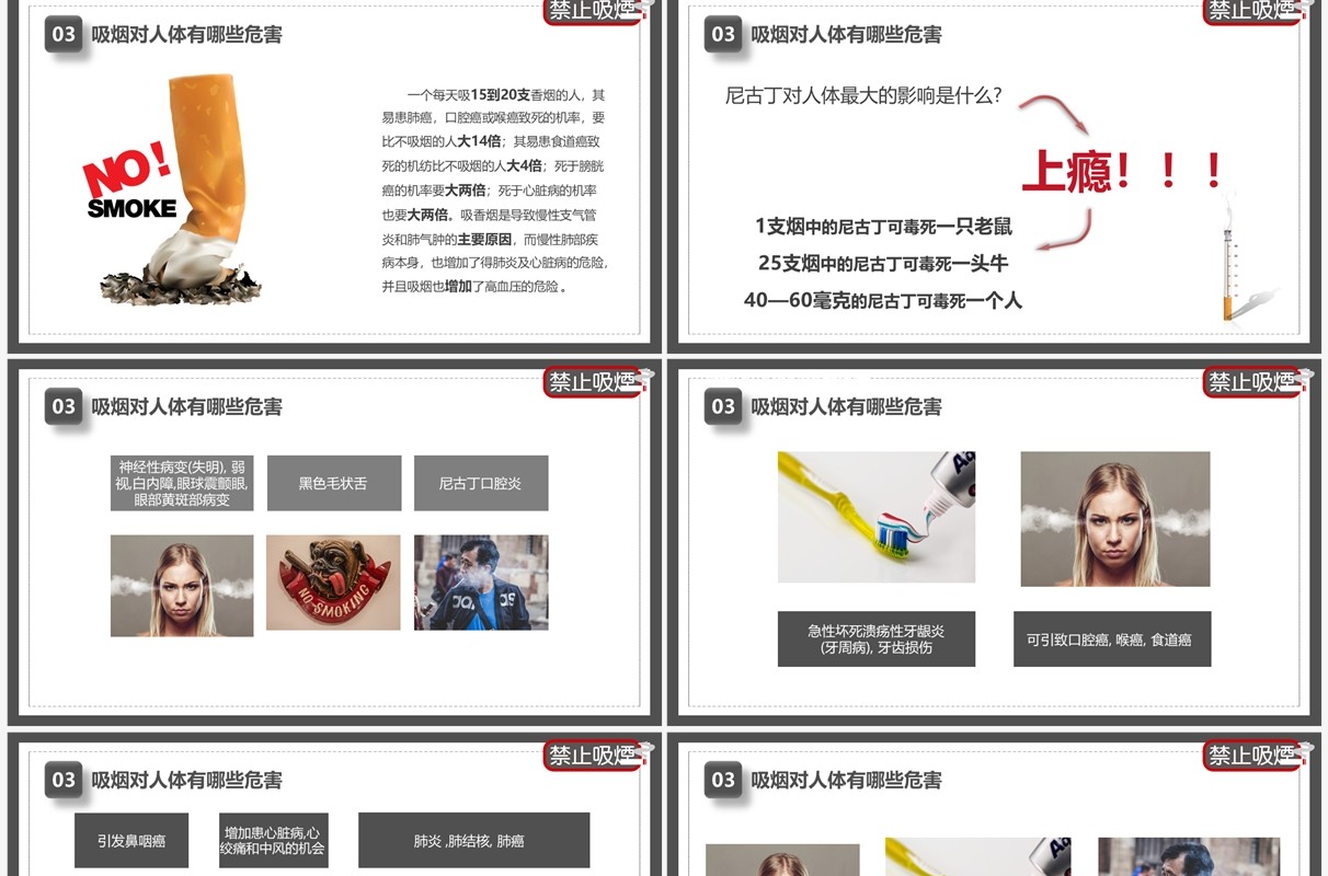简约风世界无烟日宣传教育PPT模板