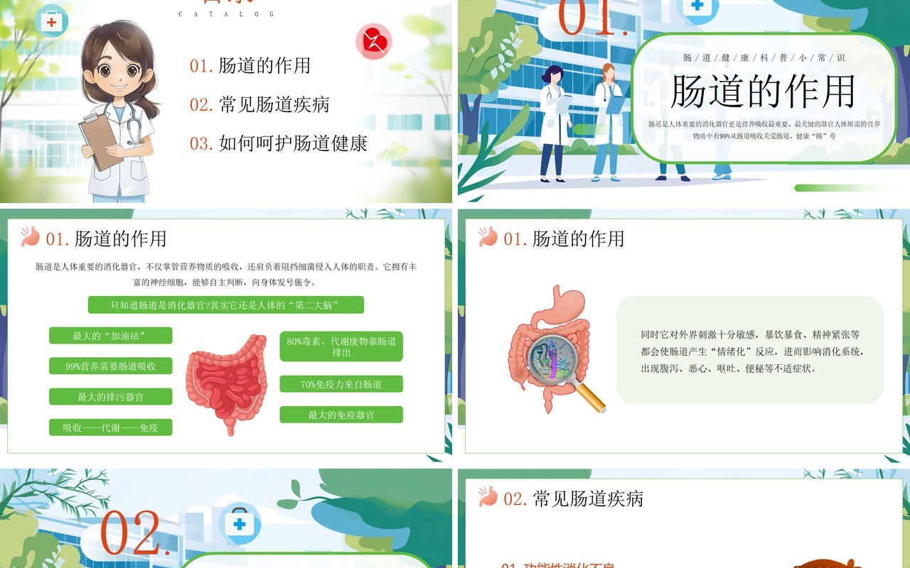 绿色插画风世界肠道健康日PPT模板