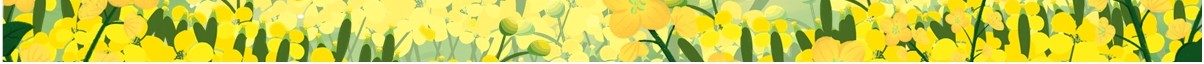 小清新朗诵面朝大海春暖花开PPT模板