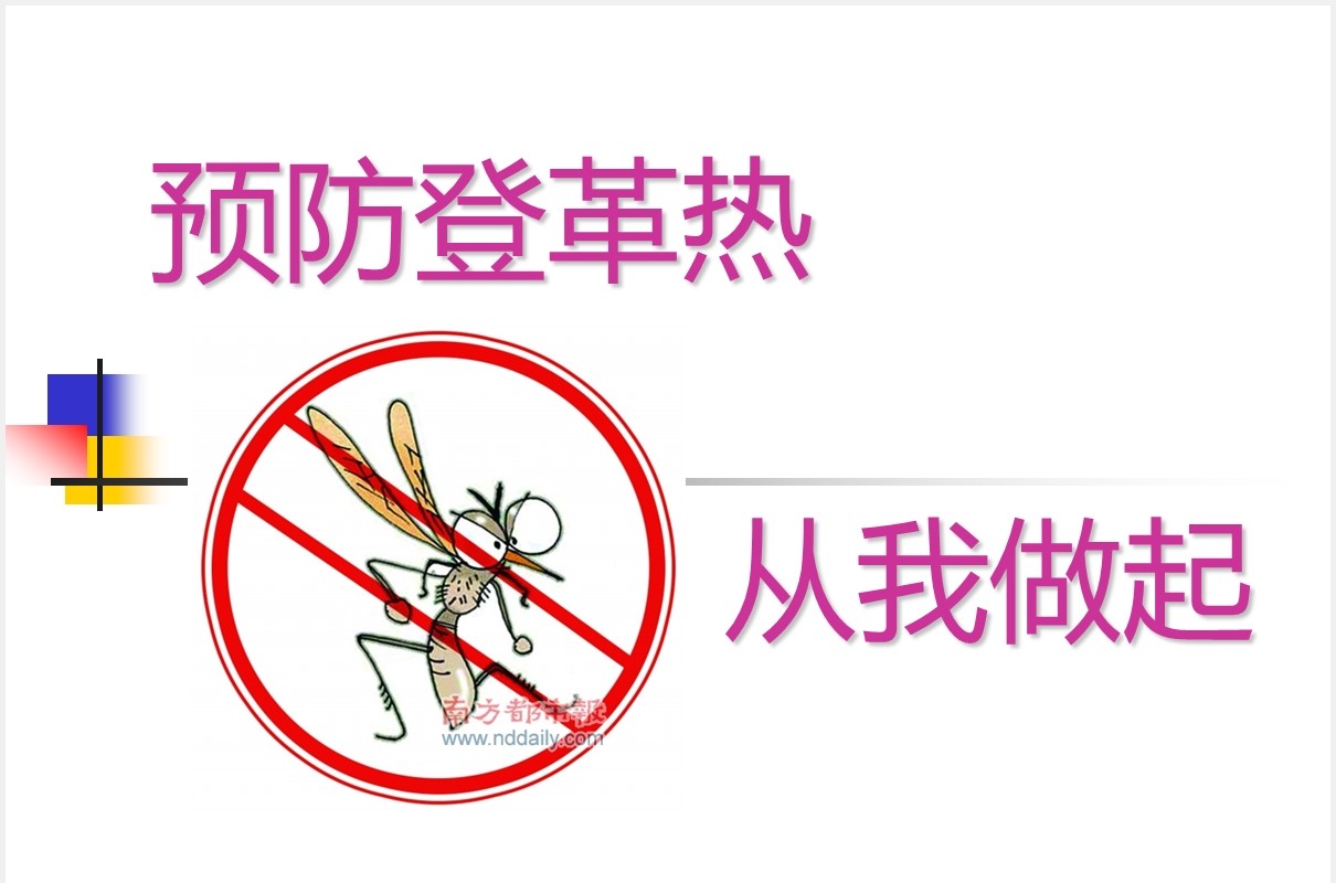 简洁幼儿园预防登革热传染病知识课件PPT模板