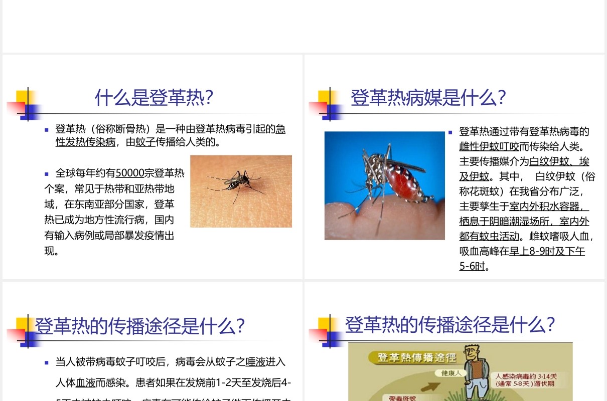 简洁幼儿园预防登革热传染病知识课件PPT模板
