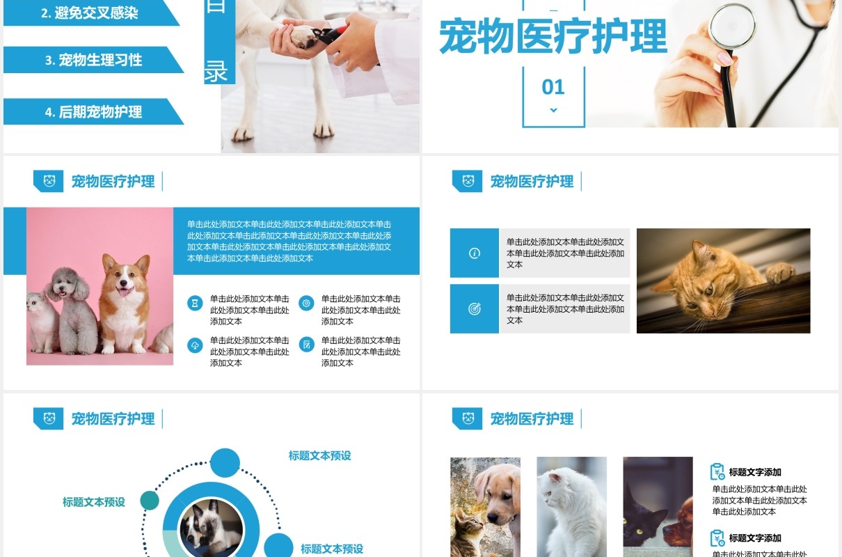 蓝色简约宠物医疗护理介绍宣传培训PPT模板