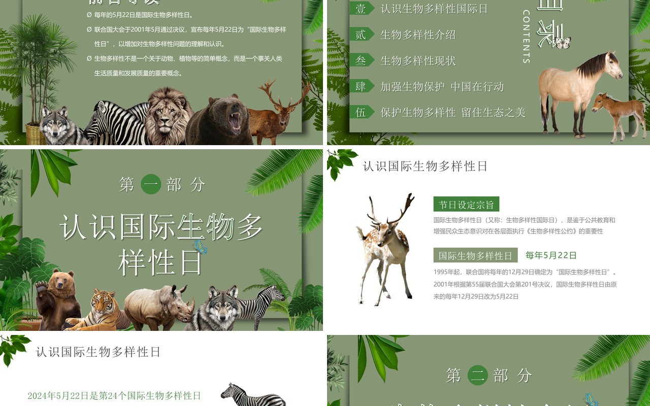 绿色简约风生物多样性国际日PPT模板