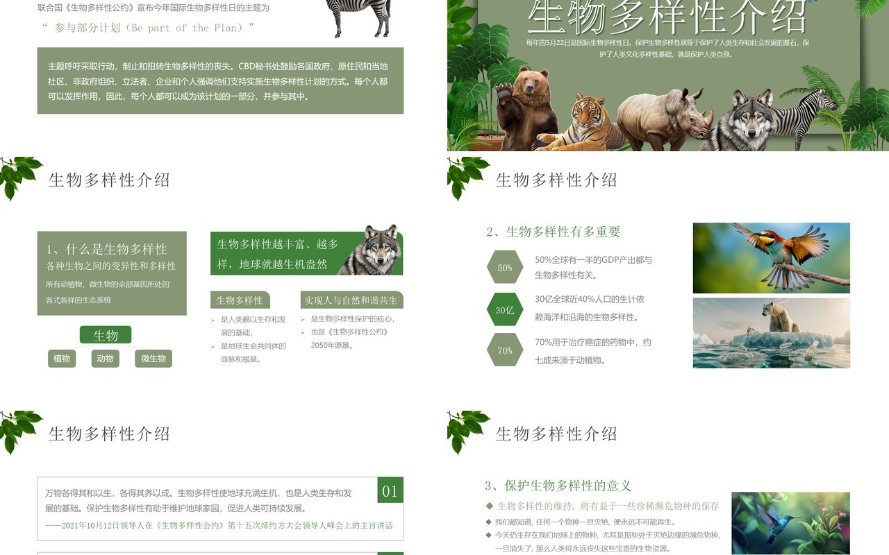 绿色简约风生物多样性国际日PPT模板
