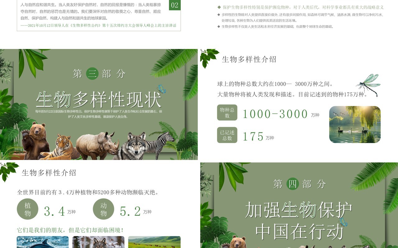 绿色简约风生物多样性国际日PPT模板