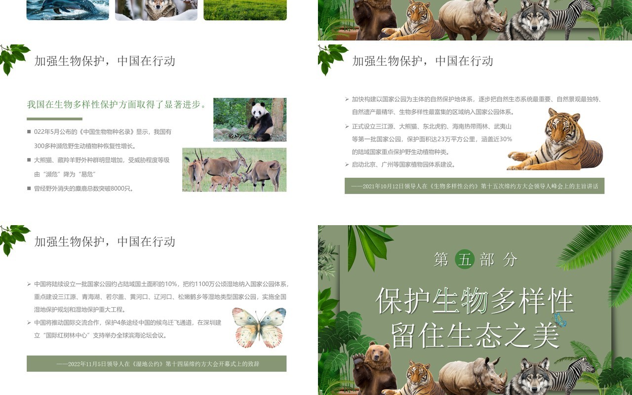 绿色简约风生物多样性国际日PPT模板