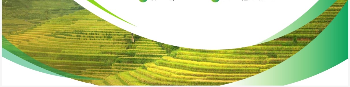 绿色简约风畅想农业项目计划书PPT模板