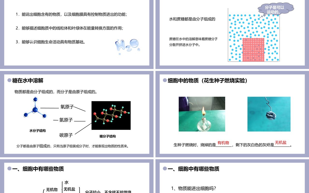 部编版七年级生物上册细胞的生活课件PPT模板