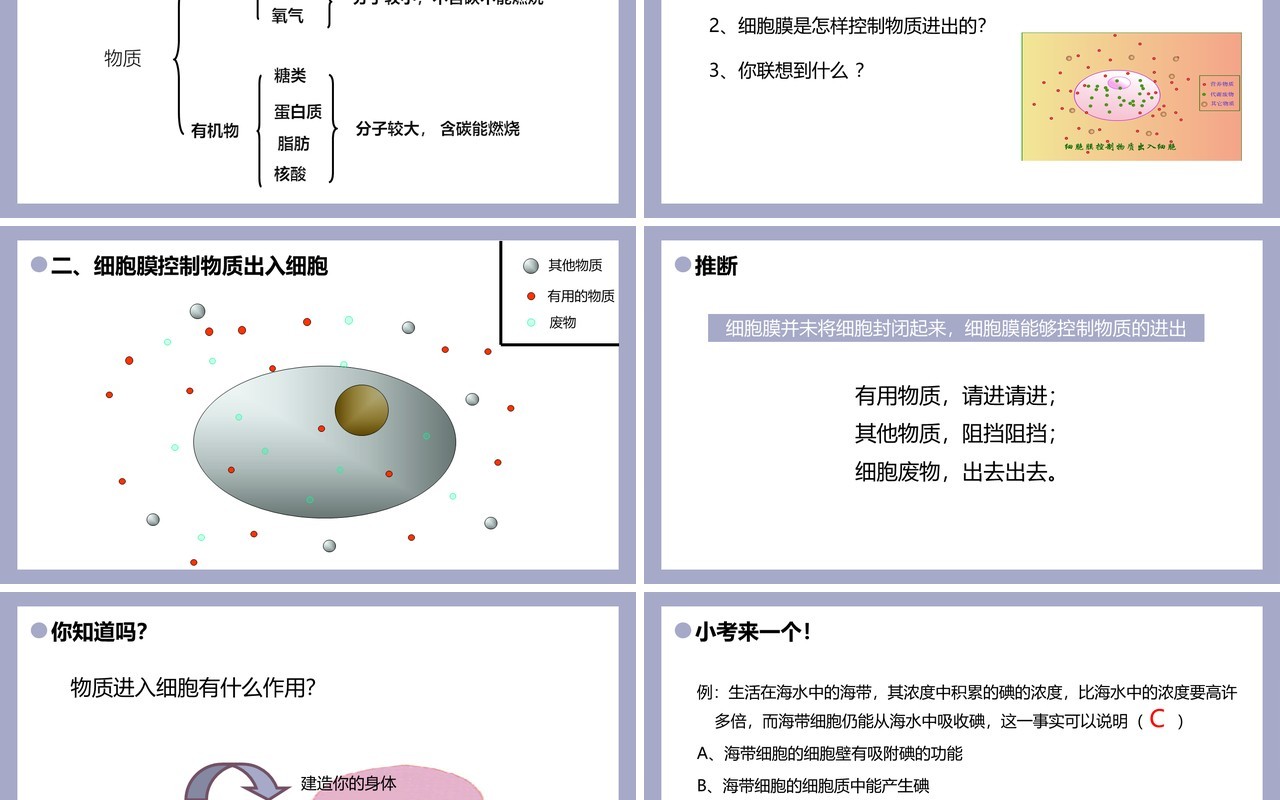 部编版七年级生物上册细胞的生活课件PPT模板