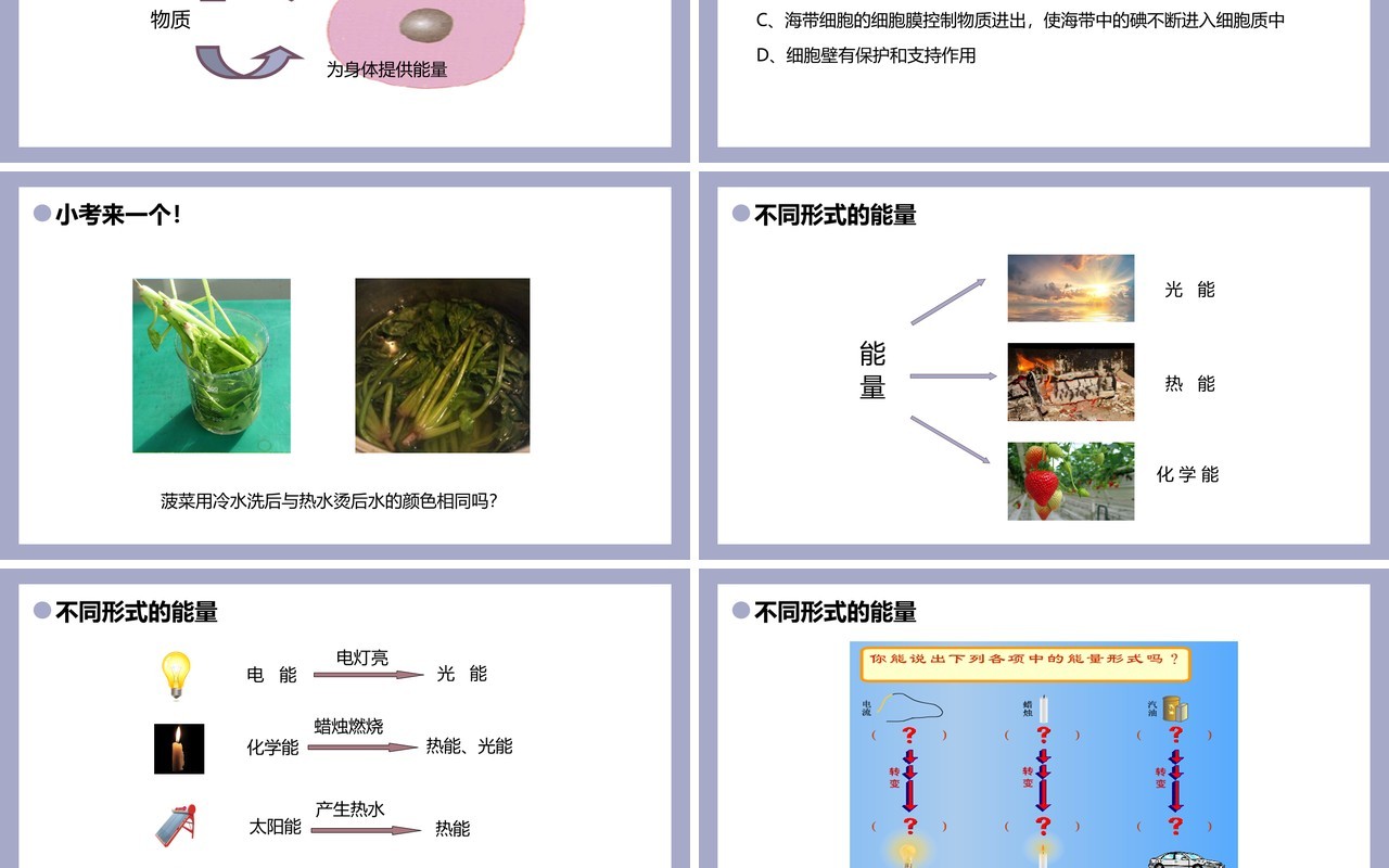 部编版七年级生物上册细胞的生活课件PPT模板