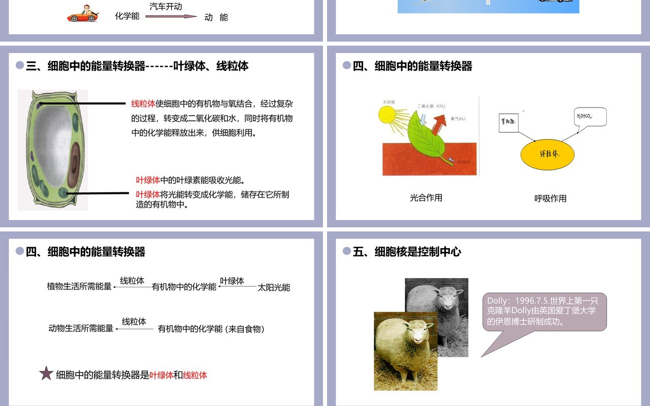 部编版七年级生物上册细胞的生活课件PPT模板