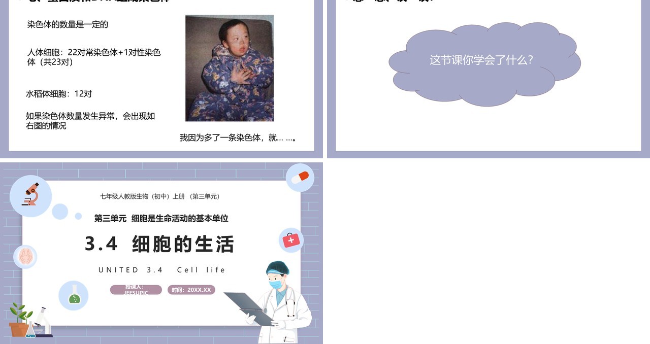 部编版七年级生物上册细胞的生活课件PPT模板