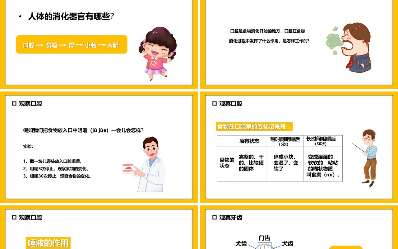教科版四年级科学上册食物在口腔里的变化课件PPT模板