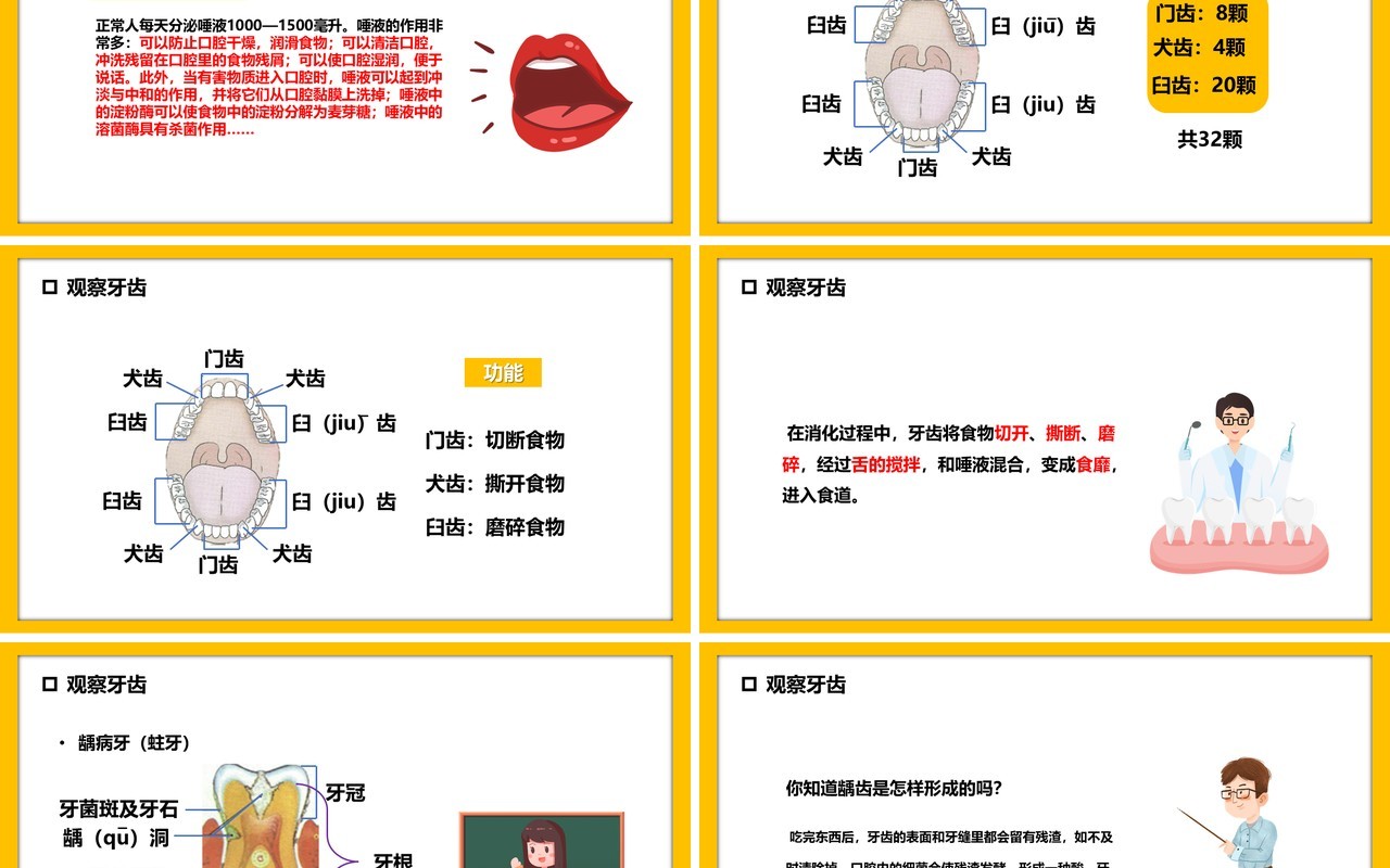 教科版四年级科学上册食物在口腔里的变化课件PPT模板