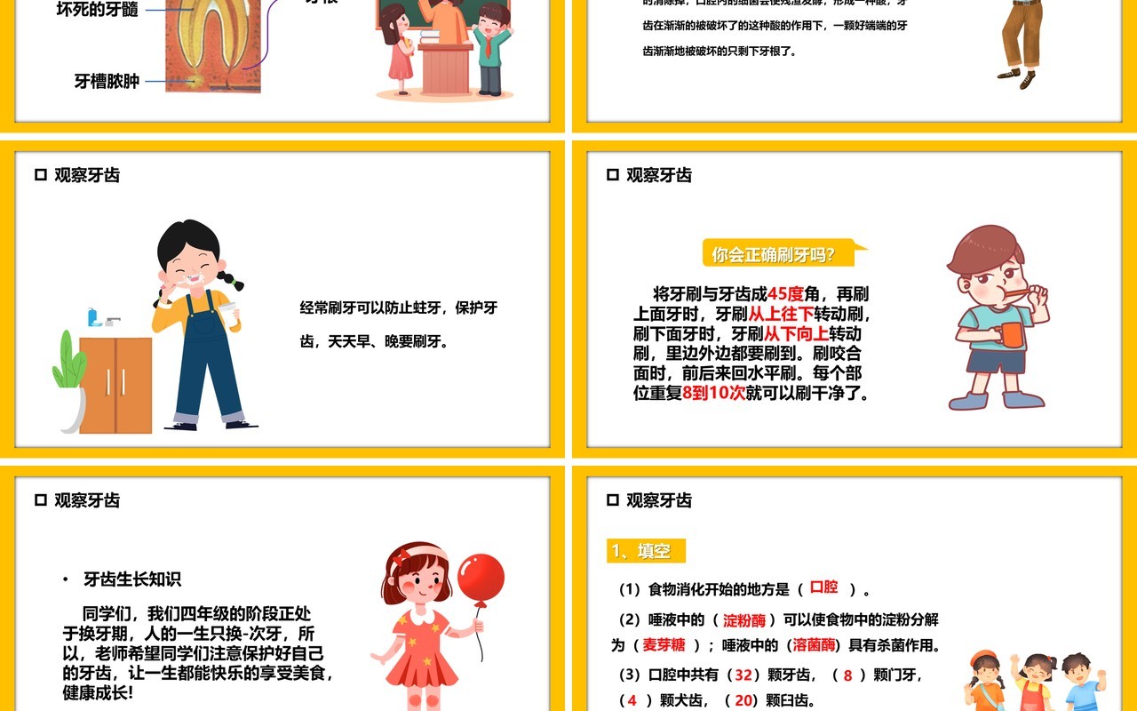 教科版四年级科学上册食物在口腔里的变化课件PPT模板