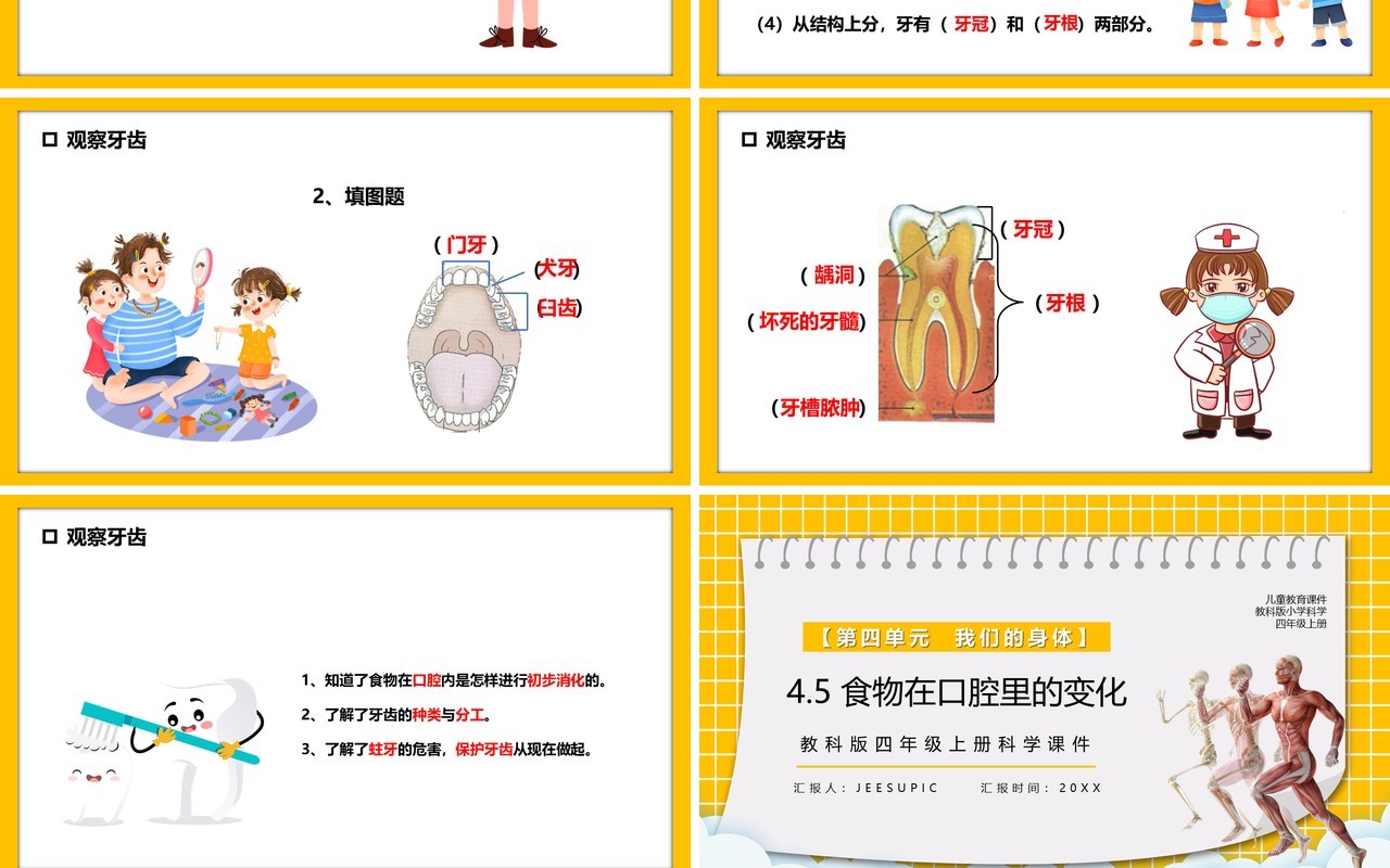 教科版四年级科学上册食物在口腔里的变化课件PPT模板