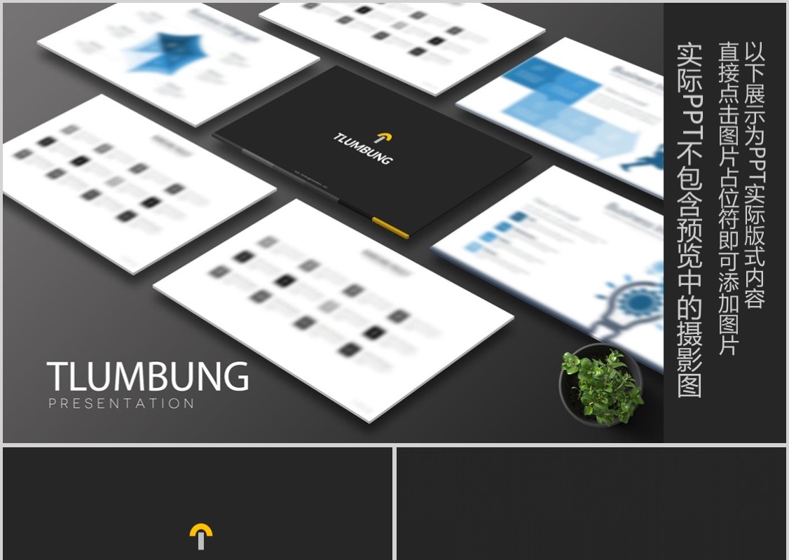 数据分析PPT信息图表版式模板设计Tlumbung Powerpoint