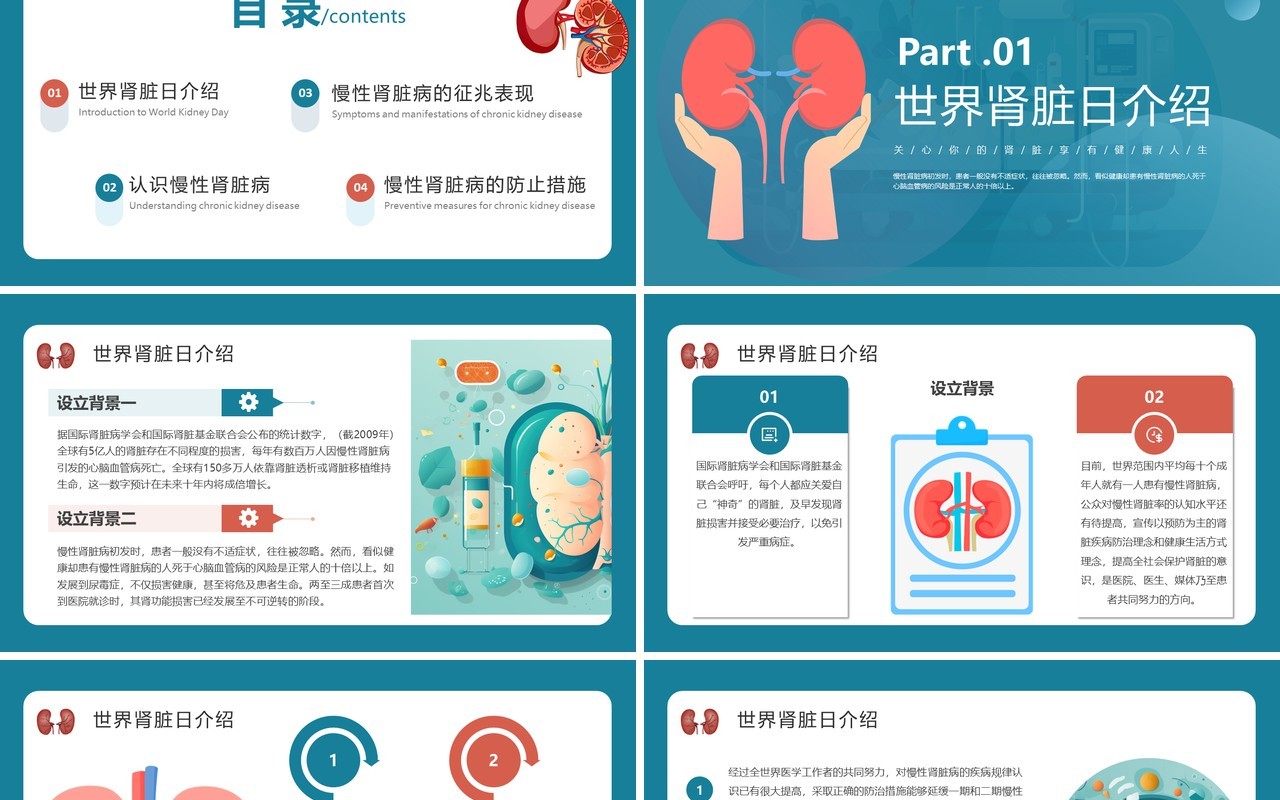 蓝色简约医疗慢性肾脏病宣传教育PPT模板