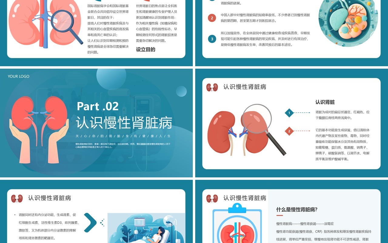 蓝色简约医疗慢性肾脏病宣传教育PPT模板