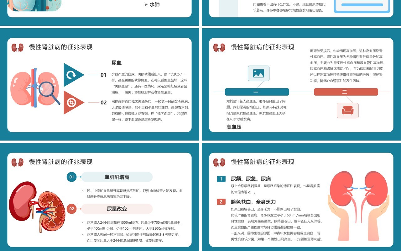 蓝色简约医疗慢性肾脏病宣传教育PPT模板