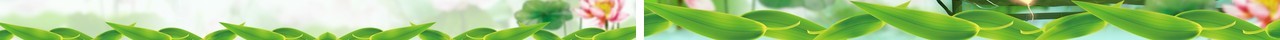 端午节介绍主题班会活动纪念屈原PPT课件模板