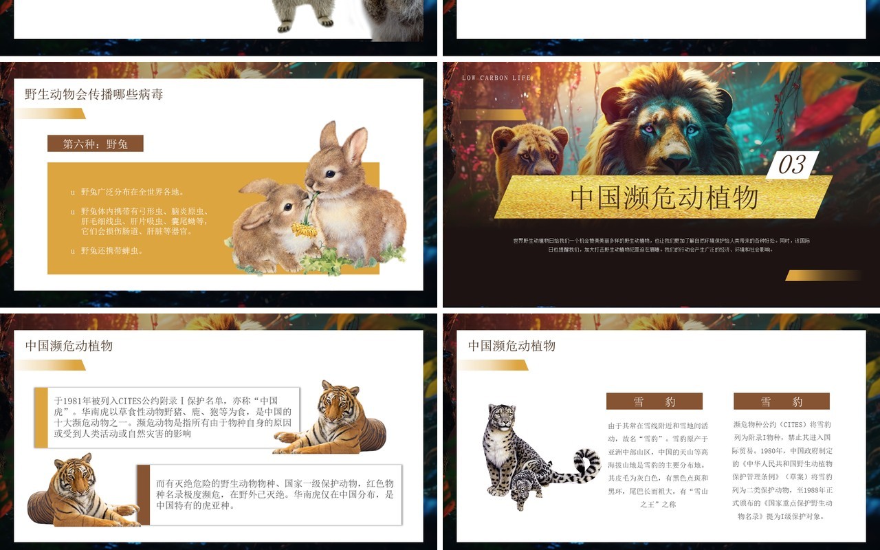 棕色插画风保护野生动植物科普PPT模板