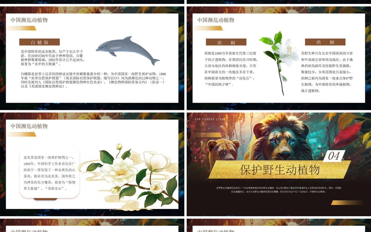 棕色插画风保护野生动植物科普PPT模板