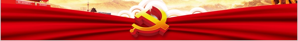 学习贯彻十九届四中全会精神微党课PPT模板
